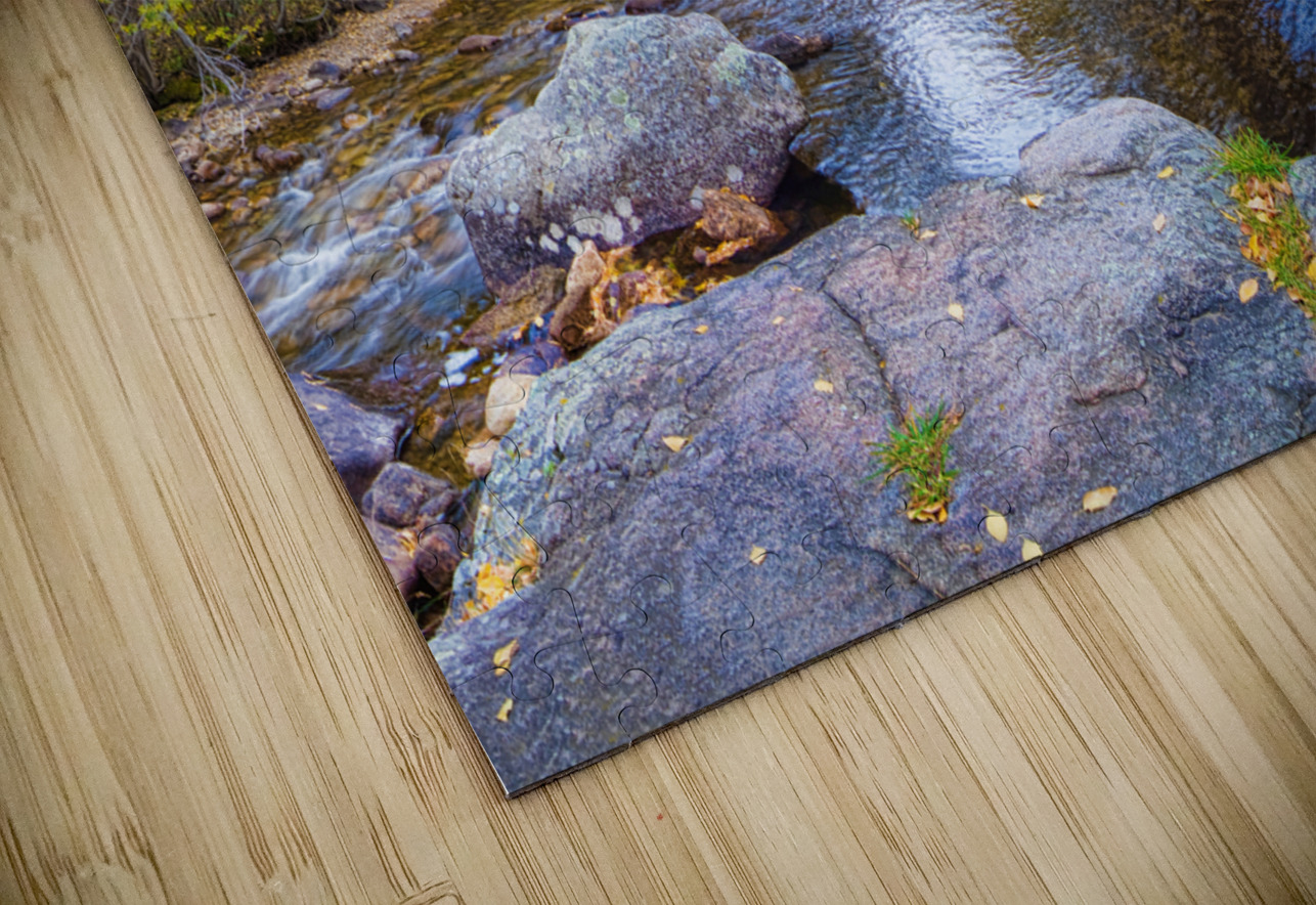 Special Place In The Woods HD Sublimation Metal print