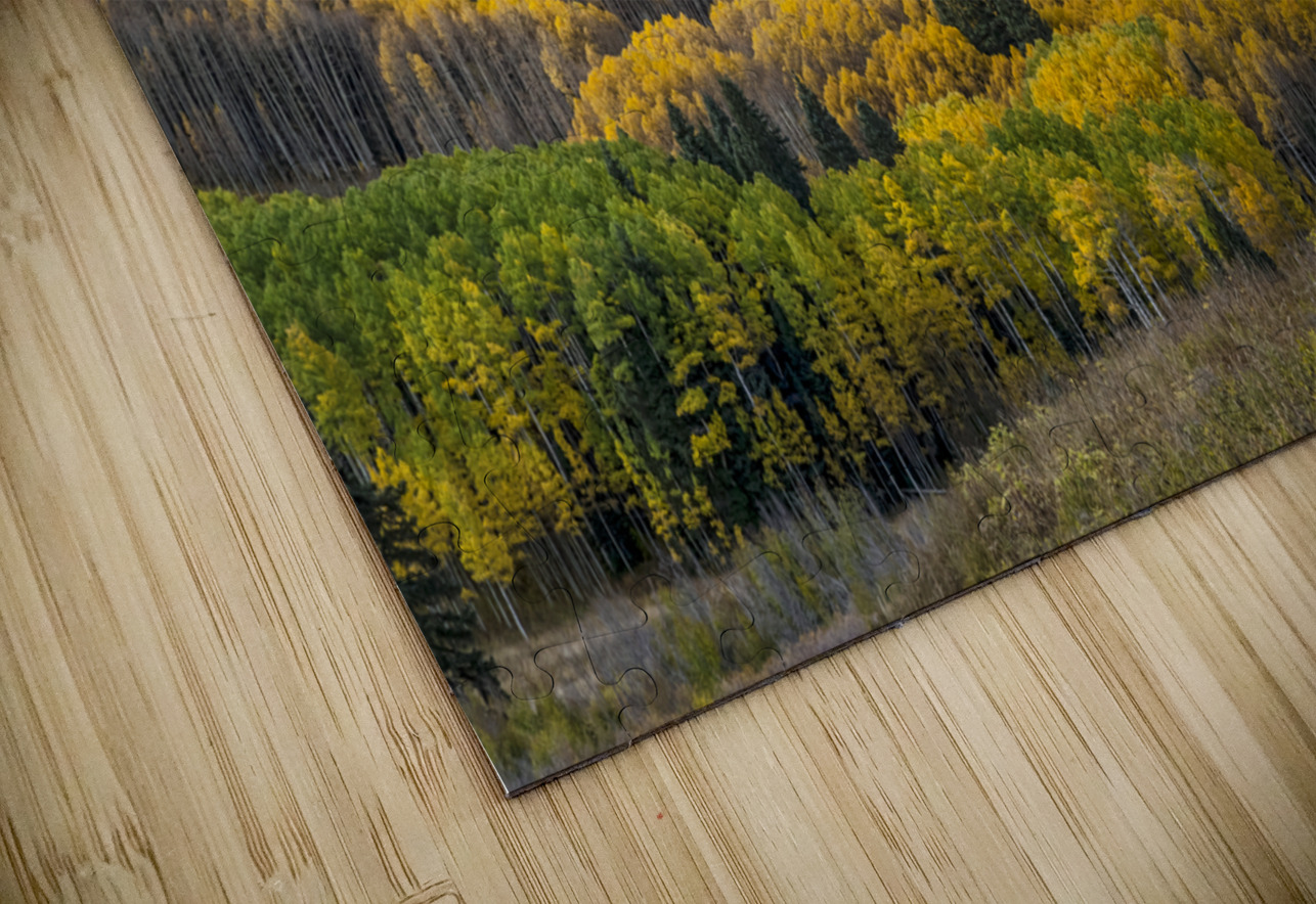 Rocky Mountain Autumn Season Colors HD Sublimation Metal print