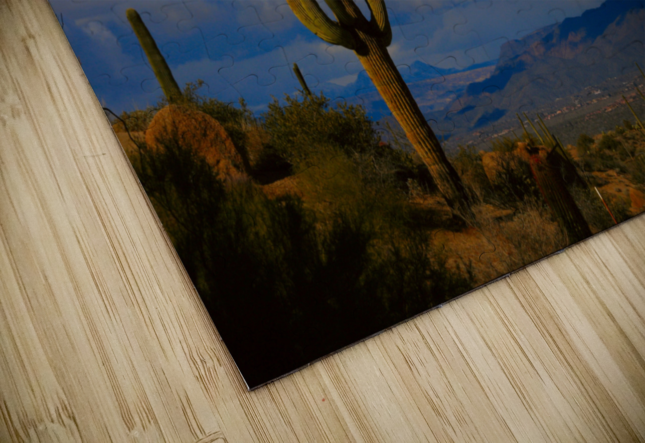  Amazing Giant Saguaro Cactus HD Sublimation Metal print