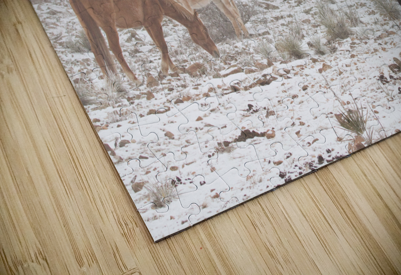 Horses Winter Snow Fog Bo Insogna Puzzle