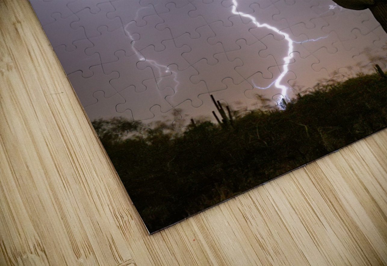 Sonoran Desert Monsoon Storming Bo Insogna Puzzle