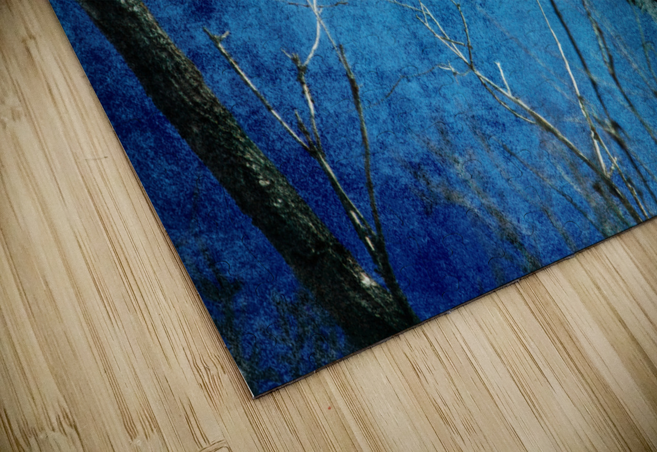 Bald Eagle Blues Into Night Bo Insogna Puzzle