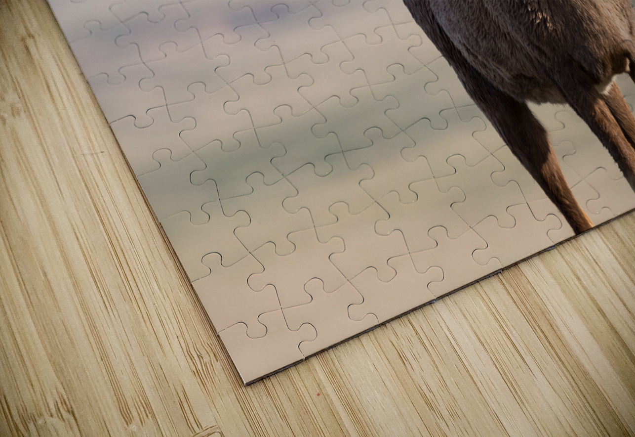 Badlands Bighorn A Glimpse of Audubons Majestic Sheep Bo Insogna Puzzle