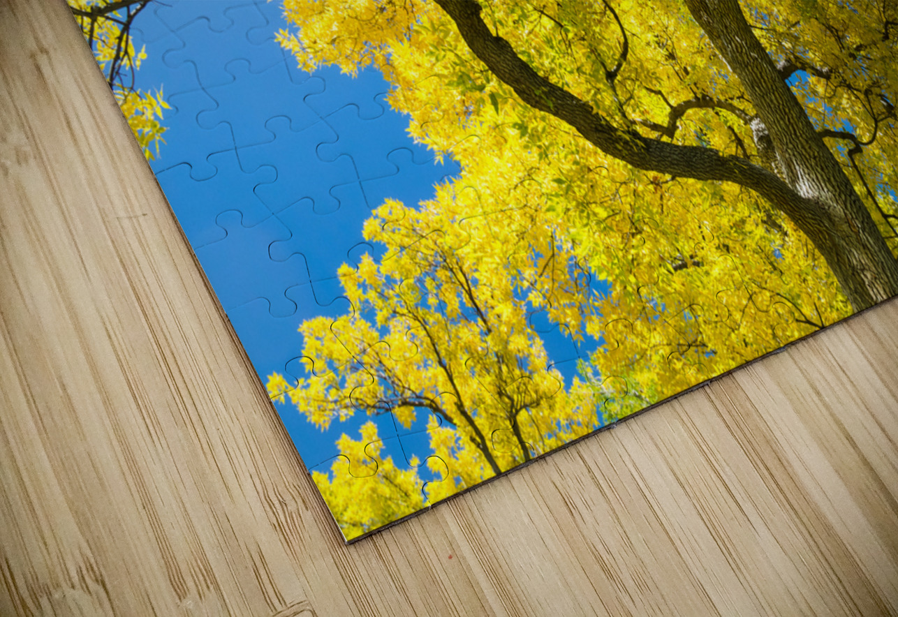 Golden Majesty - A Cottonwoods Radiant Reverie Bo Insogna Puzzle