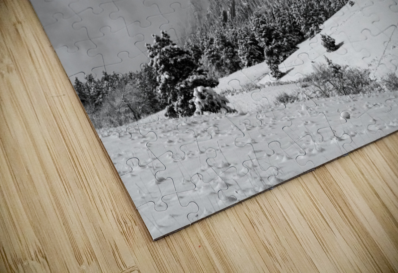 Boulder Colorado Flatirons April Snow In Black and White Bo Insogna Puzzle