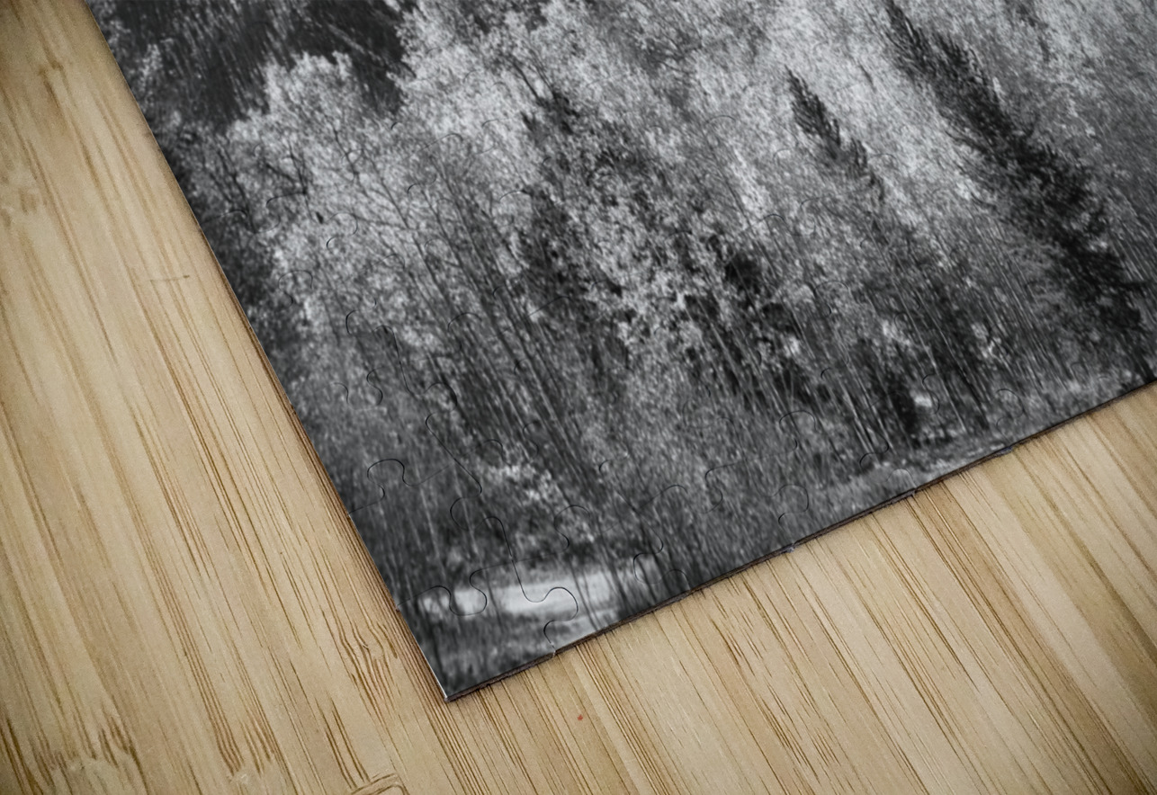 Rocky Mountain Autumn High In Black and White Bo Insogna Puzzle