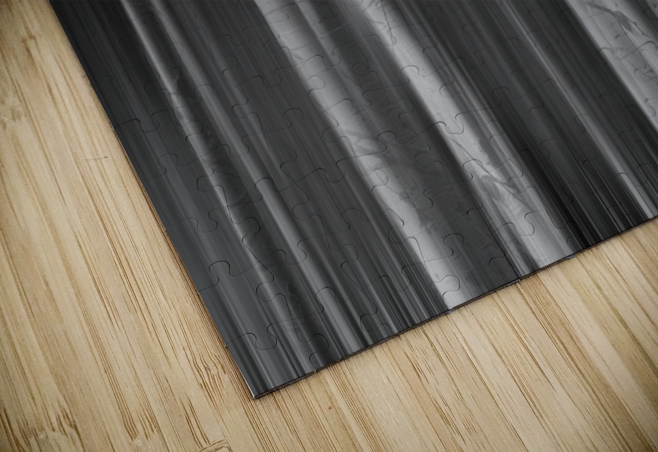 Aspen Trees Dreaming Black and White Abstract Bo Insogna Puzzle