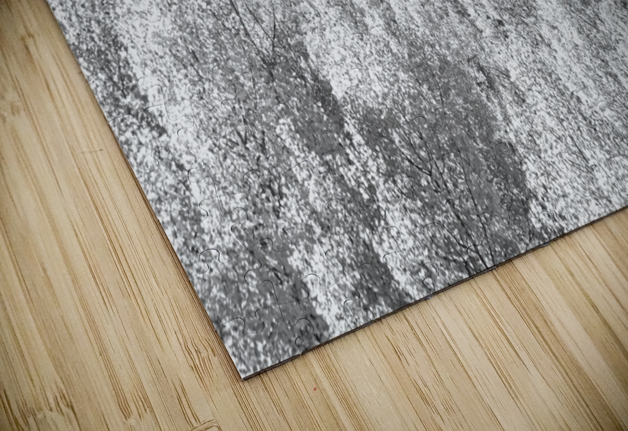 Colorado Rocky Mountain Autumn Beauty Black and White Bo Insogna Puzzle