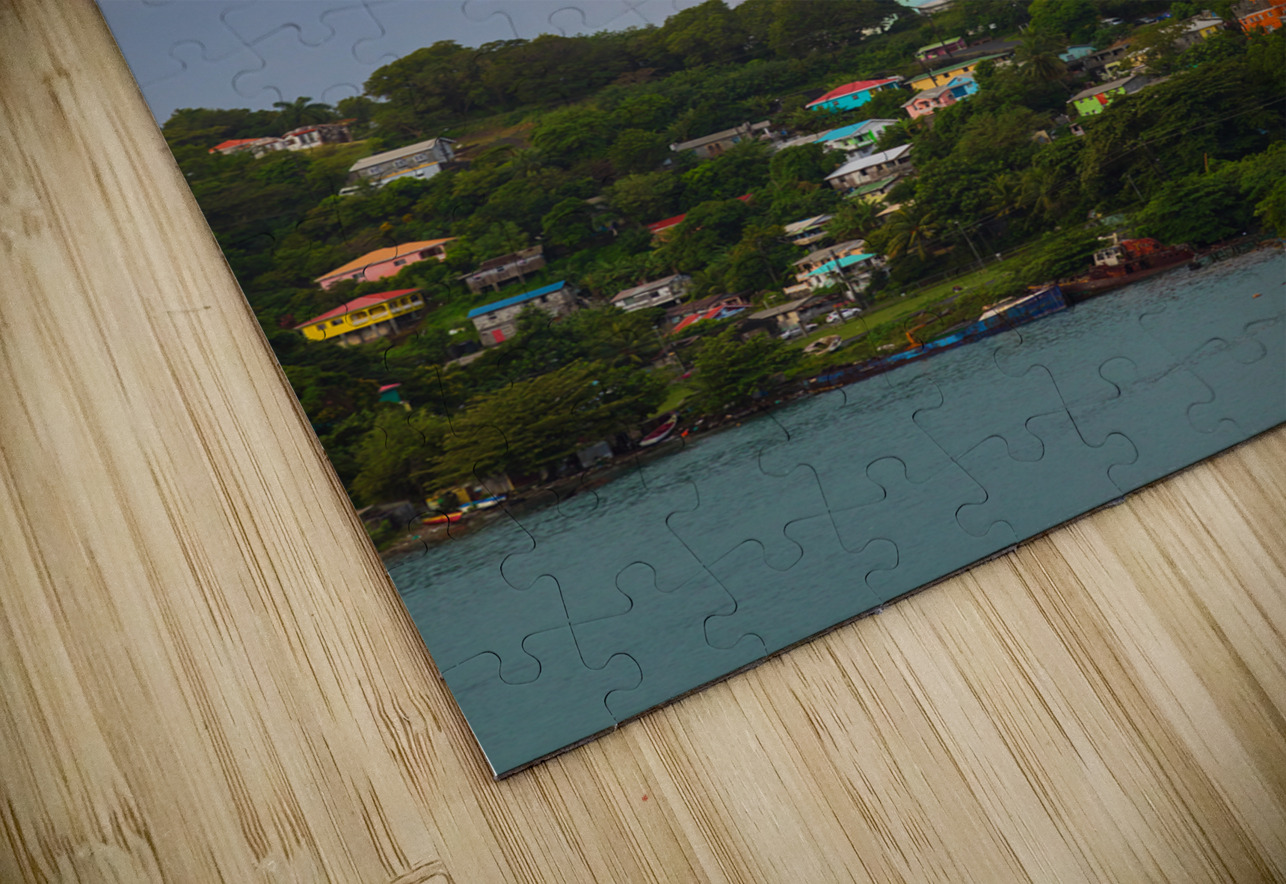 Enchanting Finale of a Vibrant Rainbow Bo Insogna Puzzle