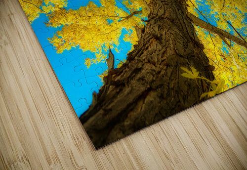 Maple Up Bo Insogna puzzle