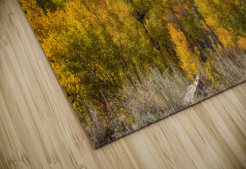 Independence Pass Autumn View Bo Insogna puzzle
