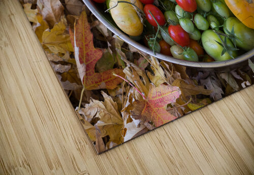 Colorful Heirloom Tomato Harvest in Autumn Leaves Bo Insogna puzzle