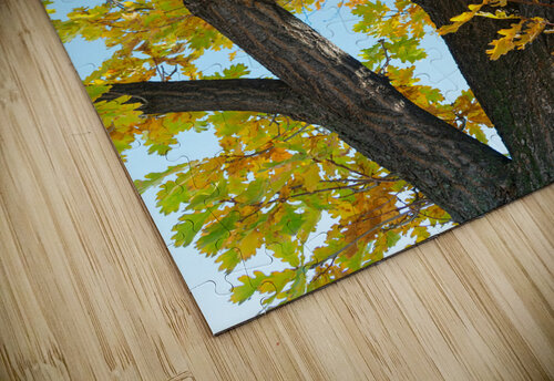 Some Un be leaf able Fall Vibes Bo Insogna puzzle