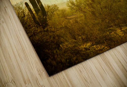 Hot Air Balloon Flight over the Southwest Desert Fine Art Print  Bo Insogna puzzle