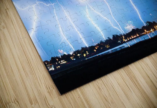 Fantastic Show Bo Insogna puzzle