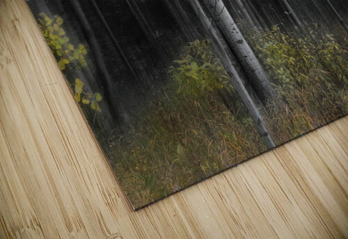 Misty Aspen Grove Bo Insogna puzzle
