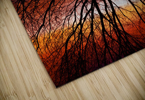 Sunset Tree Silhouette Abstract 2 Bo Insogna puzzle