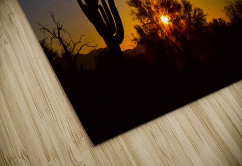 Just Another Sonoran Desert Sunrise Bo Insogna puzzle