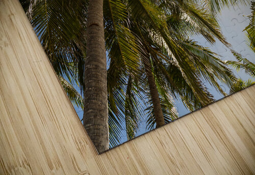 Tropical Sun Bo Insogna puzzle