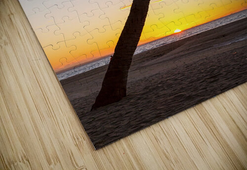 Coco Mo Tropical Sunrise Bo Insogna puzzle
