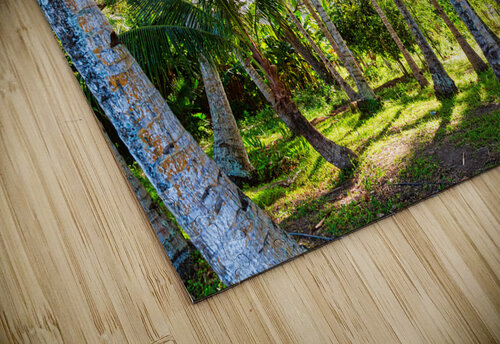 Jungle Paradise Sunshine Bo Insogna puzzle