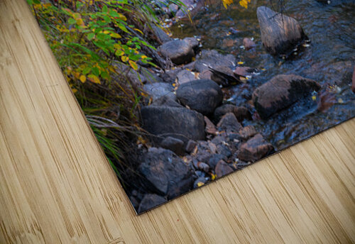 Golden Stream Bo Insogna puzzle