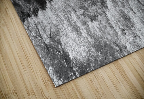 Timeless Majesty of Independence Pass Bo Insogna puzzle