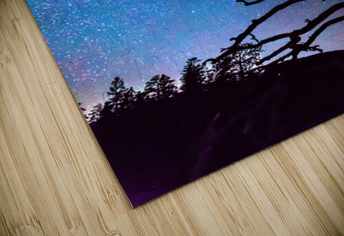 Starry Night Sky with Silhouette Tree Bo Insogna puzzle