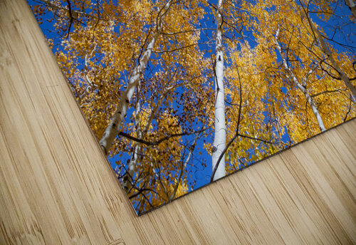 Aspen  Curve Bo Insogna puzzle