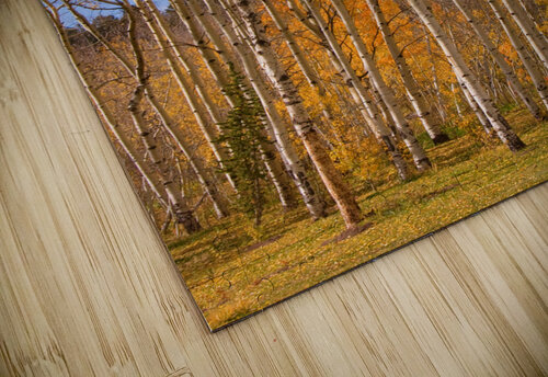 colorful colorado autumn  Bo Insogna puzzle