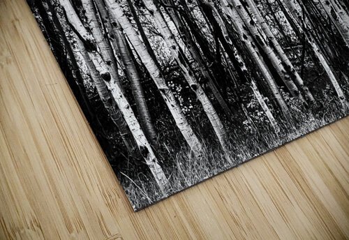 Aspen Touch of Orange Bo Insogna puzzle