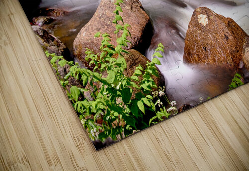 Cascading Rocky Mountain Forest Creek Bo Insogna puzzle
