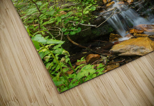 Forest Streaming Bo Insogna puzzle