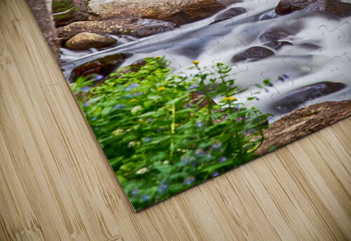 Mountain Stream Bo Insogna puzzle