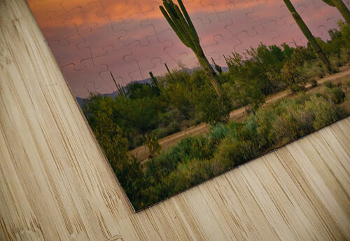 Saguaro Desert Life jigsaw puzzle