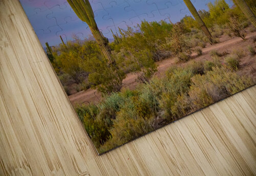 Southwest Desert Spring jigsaw puzzle
