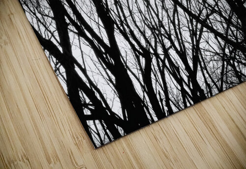 Tree Branches Into The Night jigsaw puzzle