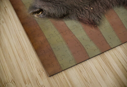 American Bison Profile Bo Insogna puzzle