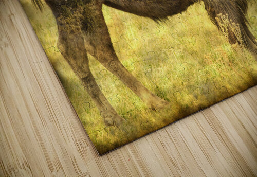 Buffaloe Sand Dunes Bo Insogna puzzle