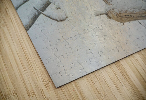 Eagle Eye Bo Insogna puzzle