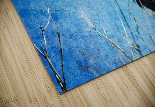 Bald Eagle Blues Bo Insogna puzzle