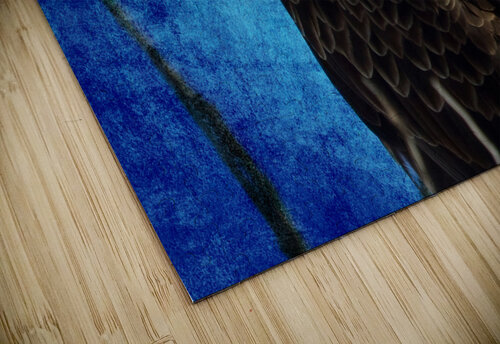 American Bald Eagle Blues Bo Insogna puzzle