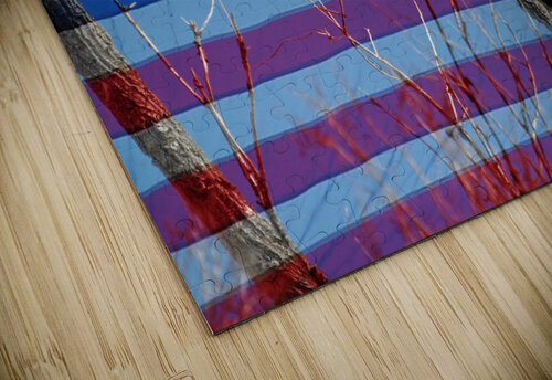 American Bald Eagle 3 Bo Insogna puzzle