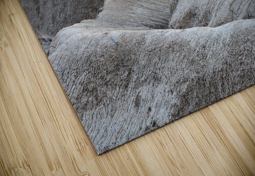 Unveiling Natures Timeless Tapestry Bo Insogna puzzle