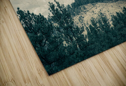 Devils Tower also called Grizzly Bear Lodge Bo Insogna puzzle