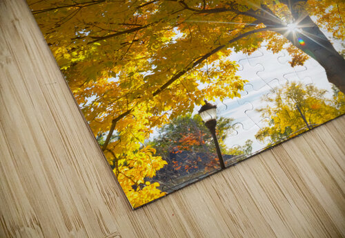 Stunning Autumn Tree Sunlight Through Colorful Leaves Bo Insogna puzzle