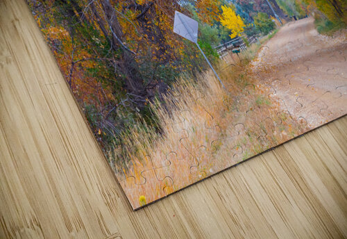 Autumns Enchantment - The Country Road Canopy Bo Insogna puzzle