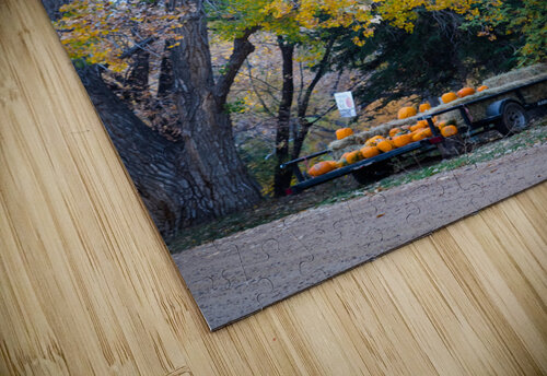 Autumns Harvest Market - A Portrait of Country Charm Bo Insogna puzzle