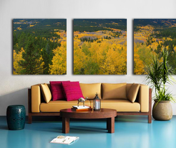 Colorado Autumn Panorama colorful Split Canvas print