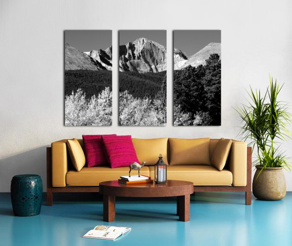 Longs Peak Autumn Aspen Landscape View BW Split Canvas print